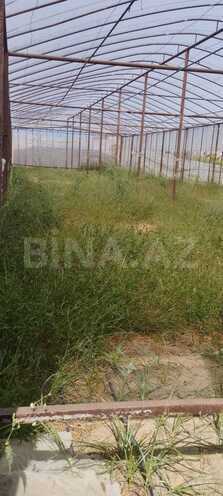 Satılır  torpaq 43 sot, Nardaran q., photo 3 from 9