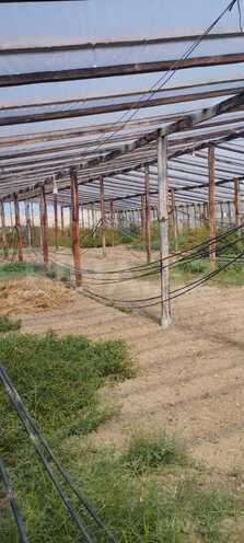 Satılır  torpaq 43 sot, Nardaran q., photo 7 from 9