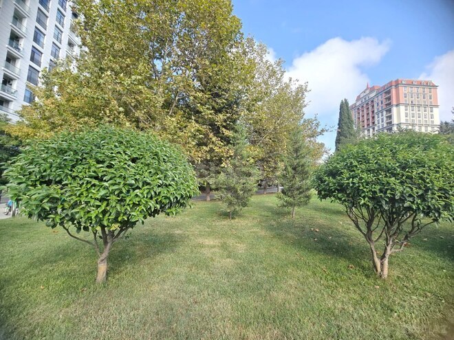 İcarəyə verilir 2 otaqlı yeni tikili 95 m², Nəsimi r., photo 17 from 20