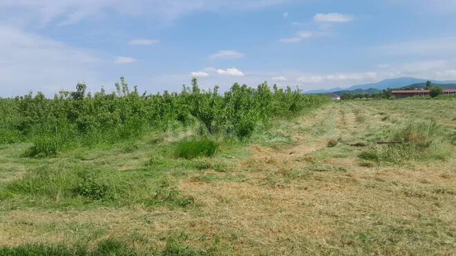 Продается  участок 4.4 сот, photo 8 from 23