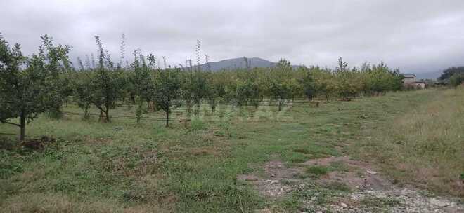 Продается  участок 4.4 сот, photo 4 from 23