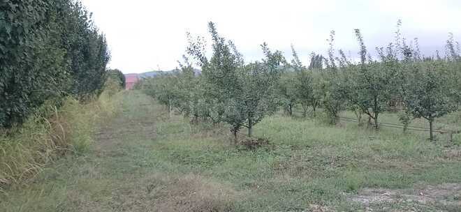 Продается  участок 4.4 сот, photo 14 from 23
