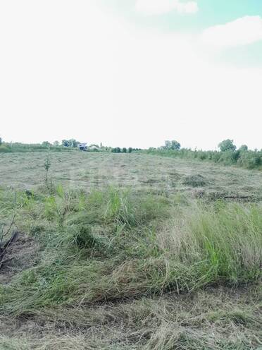 Продается  участок 4.4 сот, photo 17 from 23