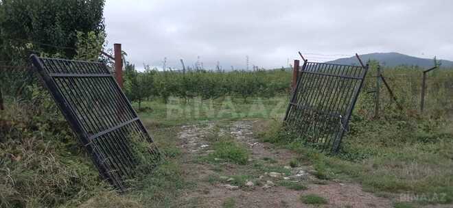 Продается  участок 4.4 сот, photo 18 from 23