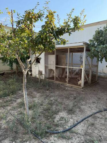 Satılır 6 otaqlı həyət evi/bağ evi 980 m², Mərdəkan q., photo 28 from 31