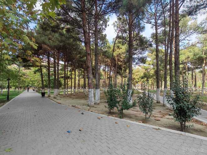 Сдаётся  объект 256 м², Абшеронcкий  р., photo 5 from 12