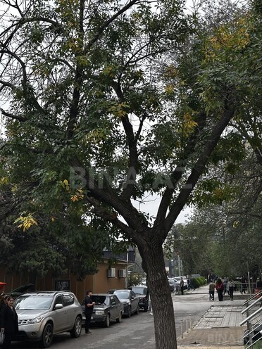 İcarəyə verilir  obyekt 45 m², Memar Əcəmi m., photo 3 from 12