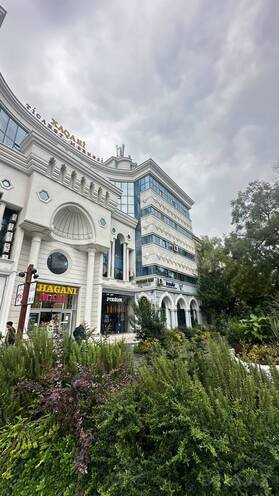 Продаётся 11-комн. вторичка 400 м², м. Сахил, photo 25 from 27