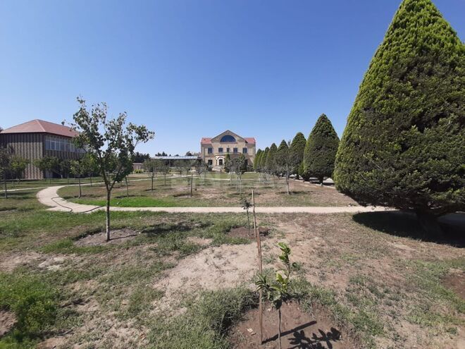 Satılır 8 otaqlı həyət evi/bağ evi 1 200 m², Mərdəkan q., photo 5 from 32