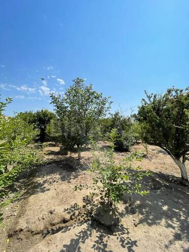 Satılır 7 otaqlı həyət evi/bağ evi 200 m², Saray q., photo 4 from 32