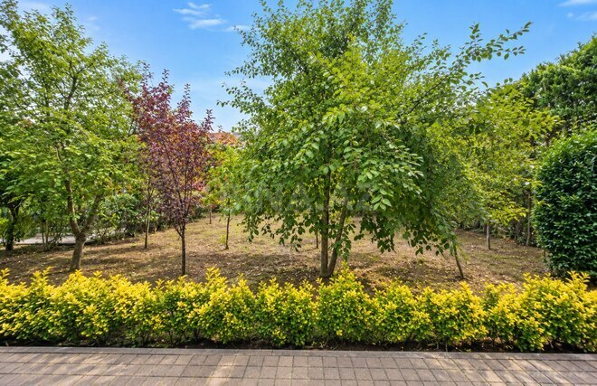 Продается 5-комн. дом/дача 500 м², пос. Шаган, photo 7 from 32