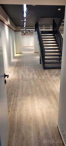 Сдается  объект 250 м², м. Низами, photo 3 from 7