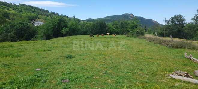 Satılır  torpaq 11 sot, photo 3 from 9