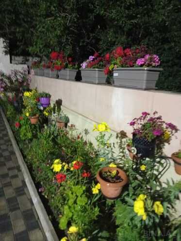 İcarəyə verilir 5 otaqlı həyət evi/bağ evi 300 m², Qara Qarayev m., photo 16 from 17