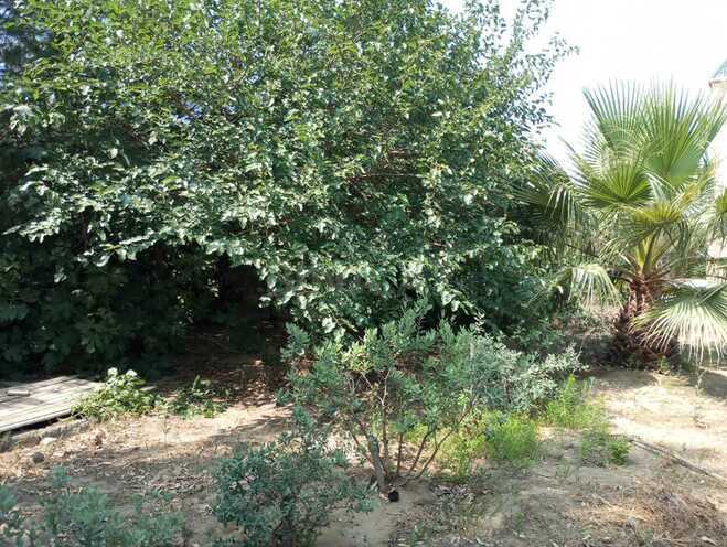 Satılır  torpaq 20 sot, Sea Breeze q., photo 10 from 16