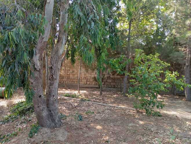 Satılır  torpaq 20 sot, Sea Breeze q., photo 13 from 16