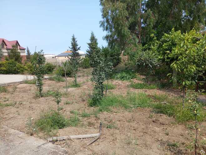 Satılır  torpaq 20 sot, Sea Breeze q., photo 14 from 16