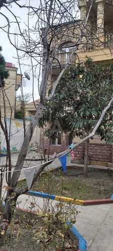 Satılır 12 otaqlı həyət evi/bağ evi 550 m², Gənclik m., photo 12 from 14