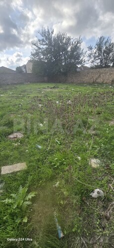 Продается  участок 6 сот, пос. Бина, photo 13 from 16