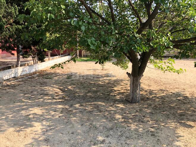 Satılır  torpaq 5 sot, Görədil q., photo 5 from 7