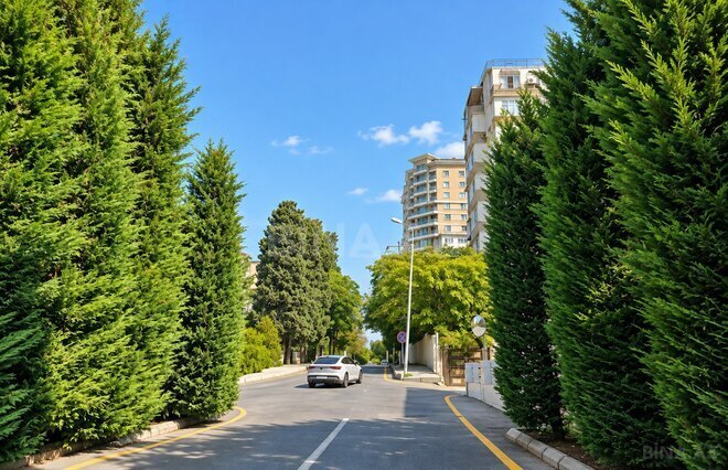 Продается  участок 46 сот, м. Шах Исмаил Хатаи, photo 10 from 11