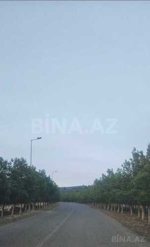 Продаётся  участок 24 сот, пос. Дюбенди, photo 4 from 7