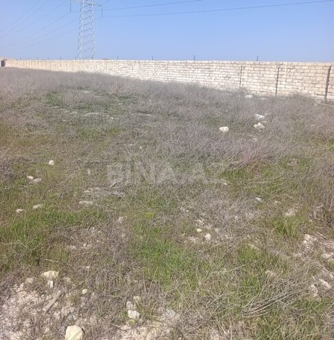 Продается  участок 30 сот, м. Ахмедлы, photo 1 from 3