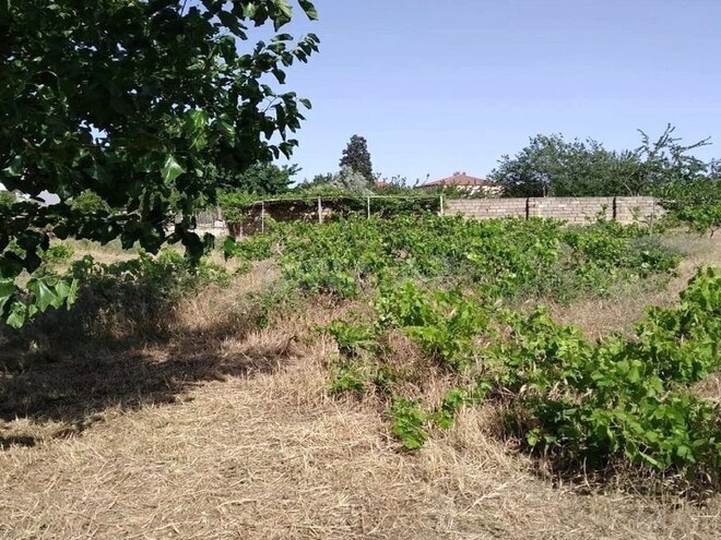 Satılır  torpaq 12 sot, Görədil q., photo 3 from 7