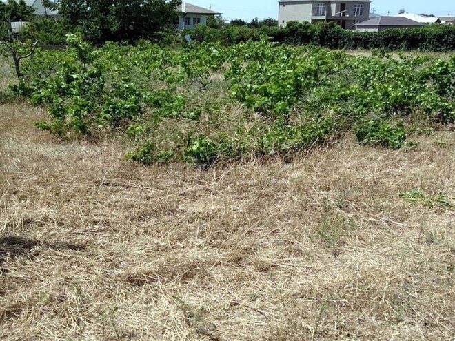 Satılır  torpaq 12 sot, Görədil q., photo 5 from 7