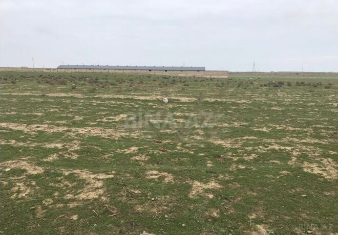 Продаётся  участок 1 200 сот, Абшеронcкий  р., photo 3 from 8