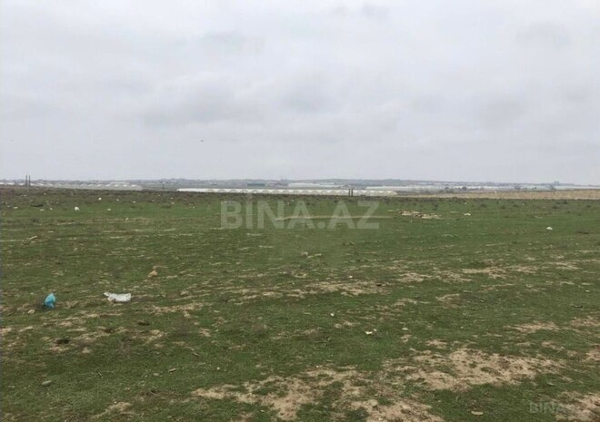 Продаётся  участок 1 200 сот, Абшеронcкий  р., photo 4 from 8