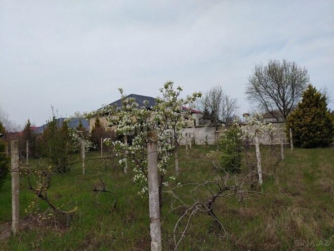 Продается  участок 15 сот, пос. Пиршаги, photo 6 from 10