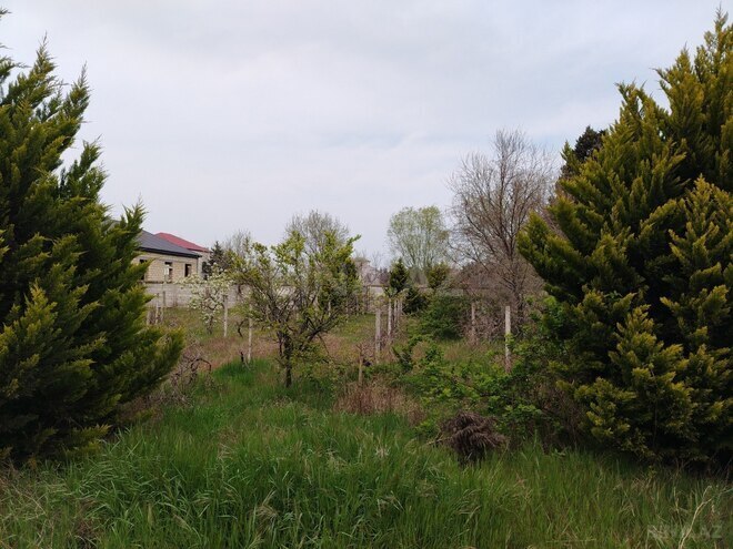 Продается  участок 15 сот, пос. Пиршаги, photo 1 from 10