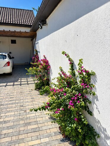 Сдается 4-комн. дом/дача 250 м², пос. Шувеляны, photo 7 from 17
