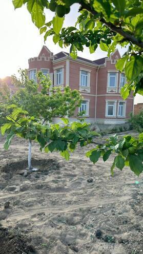 Продается 7-комн. дом/дача 250 м², пос. Сарай, photo 4 from 18