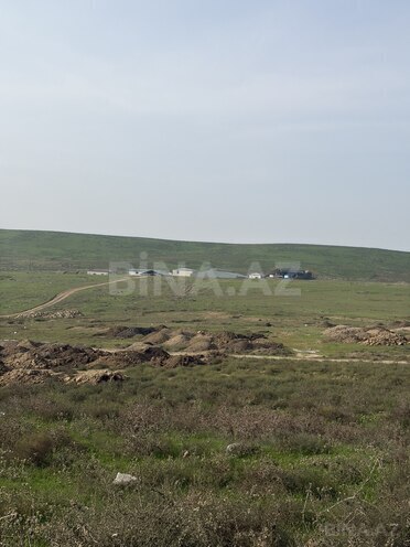Satılır  torpaq 55 sot, Mehdiabad q., photo 1 from 6