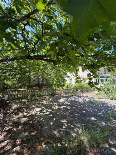 Satılır 5 otaqlı həyət evi/bağ evi 200 m², Görədil q., photo 12 from 14