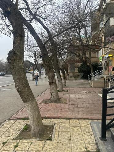 Сдается  объект 37 м², м. Элмляр Академиясы, photo 10 from 12
