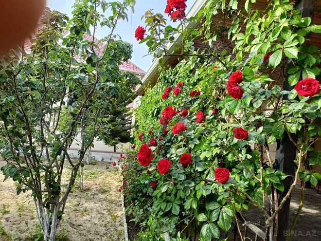 İcarəyə verilir 3 otaqlı həyət evi/bağ evi 130 m², Pirşağı q., photo 13 from 14