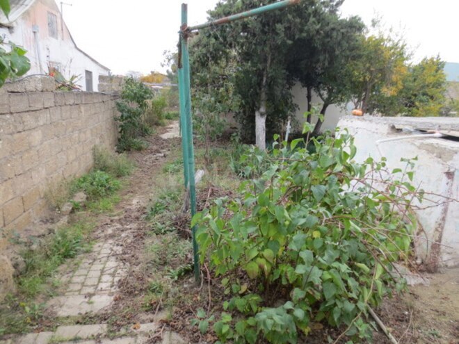 Satılır 2 otaqlı həyət evi/bağ evi 50 m², Albalılıq q., photo 27 from 30