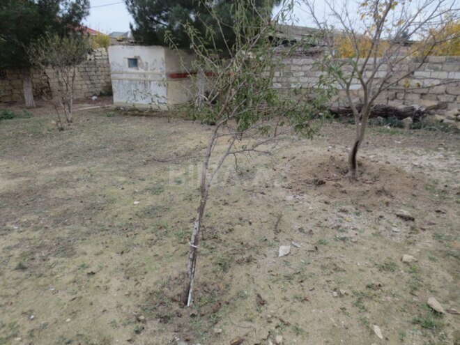 Satılır 2 otaqlı həyət evi/bağ evi 50 m², Albalılıq q., photo 23 from 30
