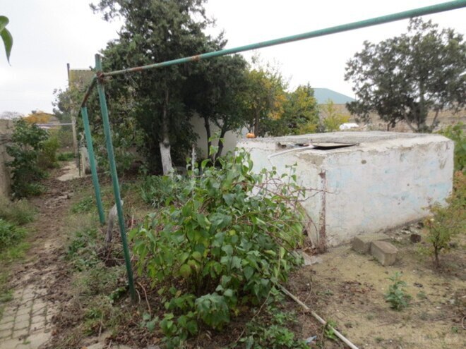 Satılır 2 otaqlı həyət evi/bağ evi 50 m², Albalılıq q., photo 28 from 30
