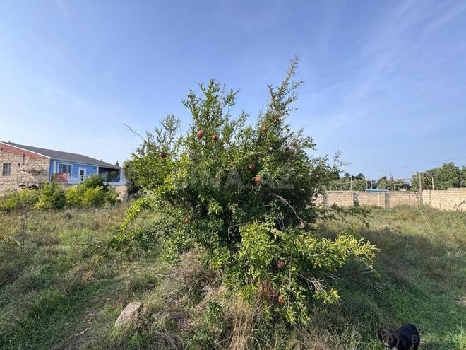 Продаётся  участок 22 сот, пос. Нардаран, photo 7 from 11