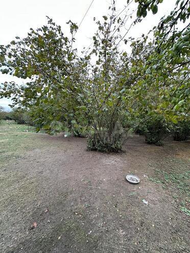 Satılır  torpaq 60 sot, photo 6 from 21