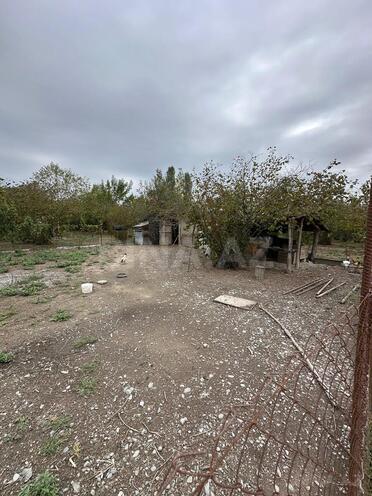 Satılır  torpaq 60 sot, photo 9 from 21