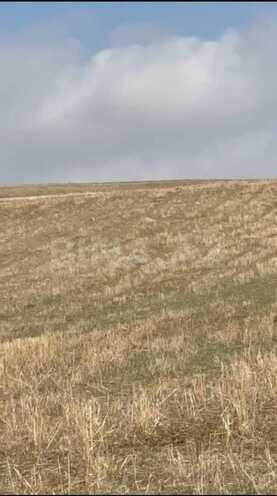 Продаётся  участок 229.5 сот, photo 1 from 3