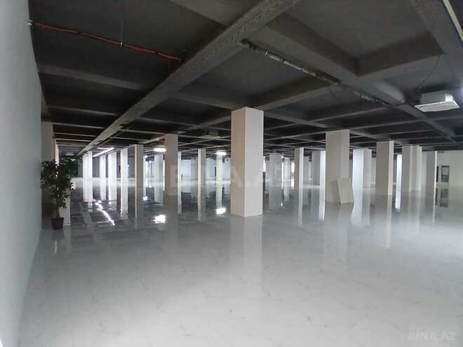İcarəyə verilir  obyekt 2 200 m², 28 May m., photo 4 from 8