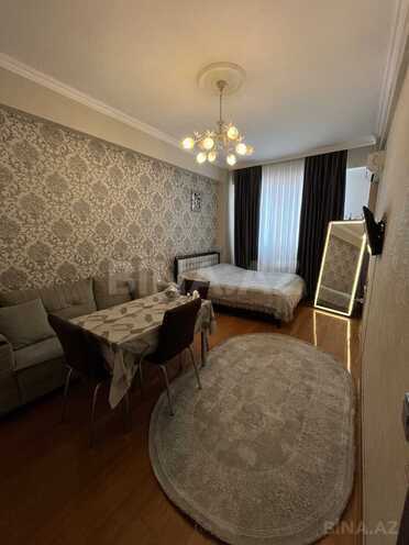 Satılır 1 otaqlı yeni tikili 43 m², photo 4 from 14