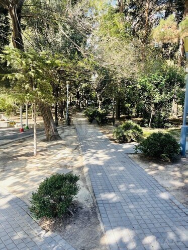 Продается 5-комн. вторичка 120 м², м. Азадлыг проспекти, photo 15 from 17