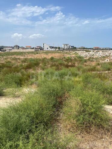 Продаётся  участок 25 сот, пос. Дюбенди, photo 6 from 8
